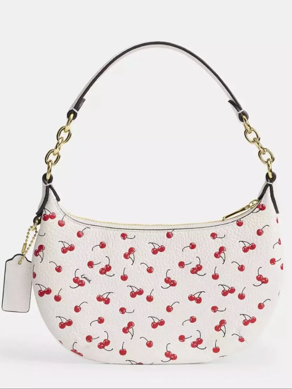 Mini Payton Bag With Cherry Print CFD04